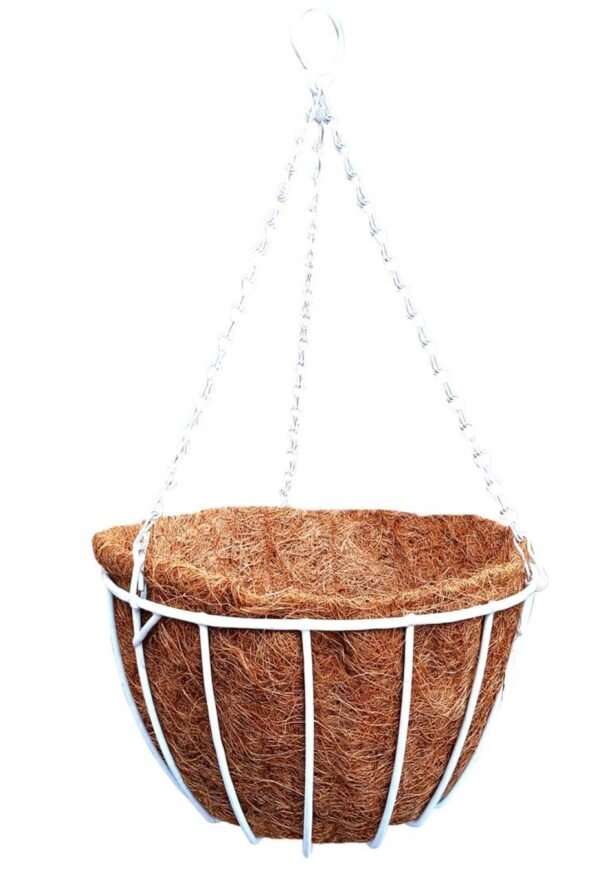 odoo-prod-45077-featured-0