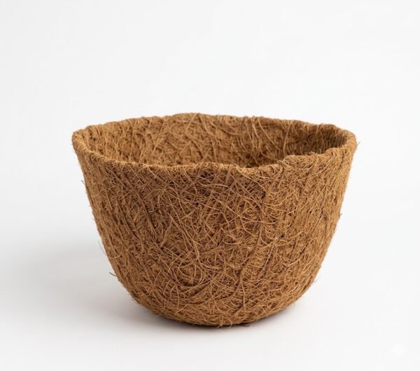 odoo-prod-45089-featured-0-1