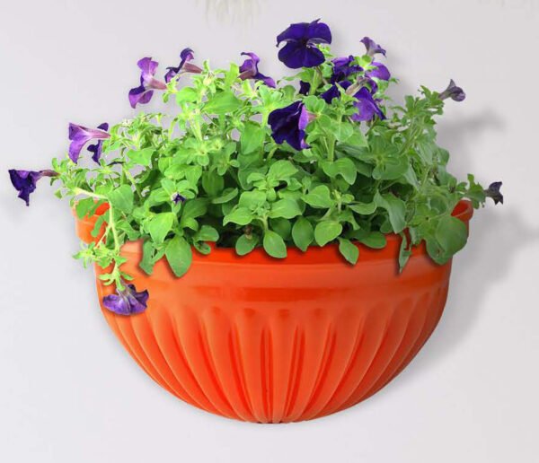 odoo-prod-45746-featured-0