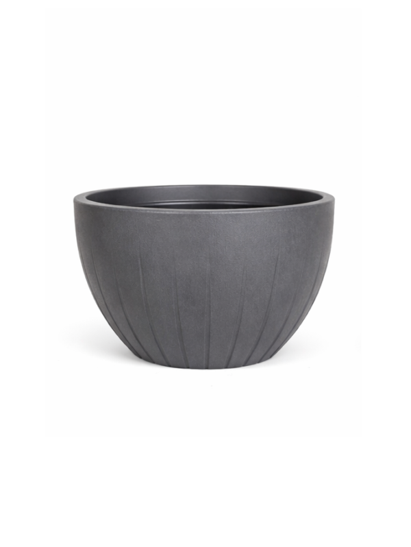 odoo-prod-46339-featured-0