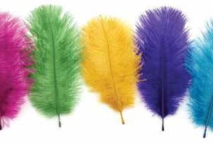 MARABOU BOAS - FEATHERS-B/P - Image 1