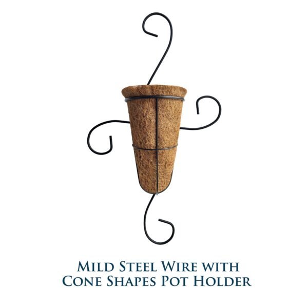 odoo-prod-51031-featured-0-2