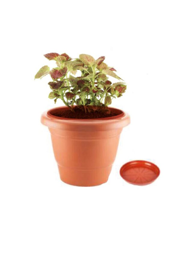 odoo-prod-74221-featured-0-2